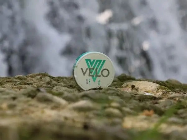 Velo Mint Snus SE - Swisssnus